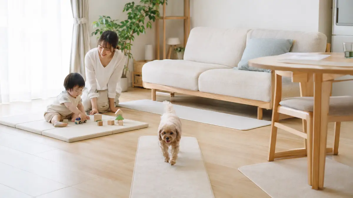 夏リビングラグなしで子供用マットとペット用滑り止めマットを使う日本人家庭