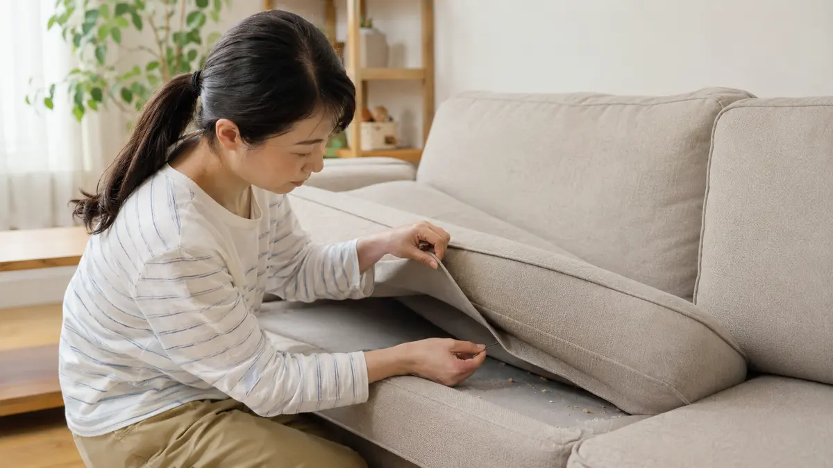 ソファにダニが発生する原因 ソファのクッションを外して隙間のホコリや食べかすを確認する日本人女性